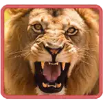 safari-wilds_symbol_h_lion_a