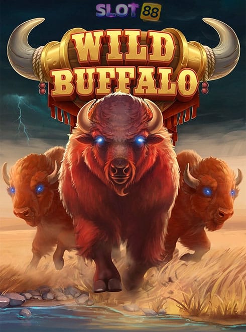 wild_buffalo