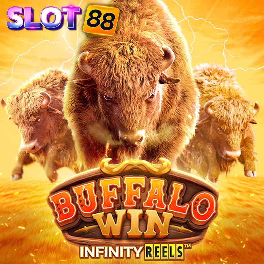 bufallo-win