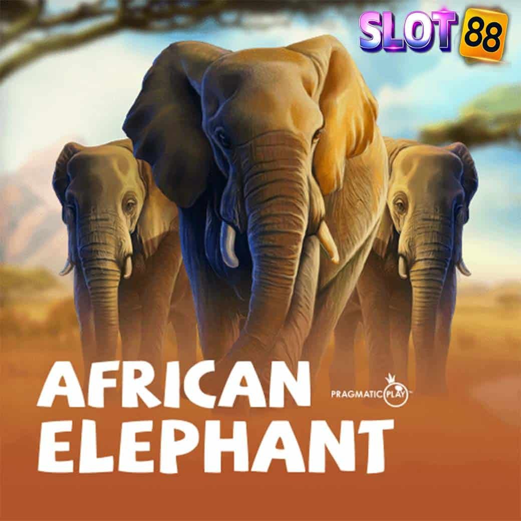 African Elephant