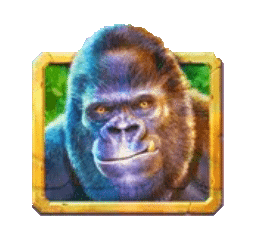 Gorilla Mayhem