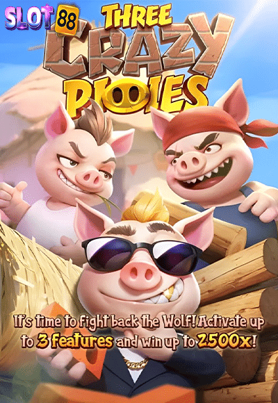 Three Crazy Piggies